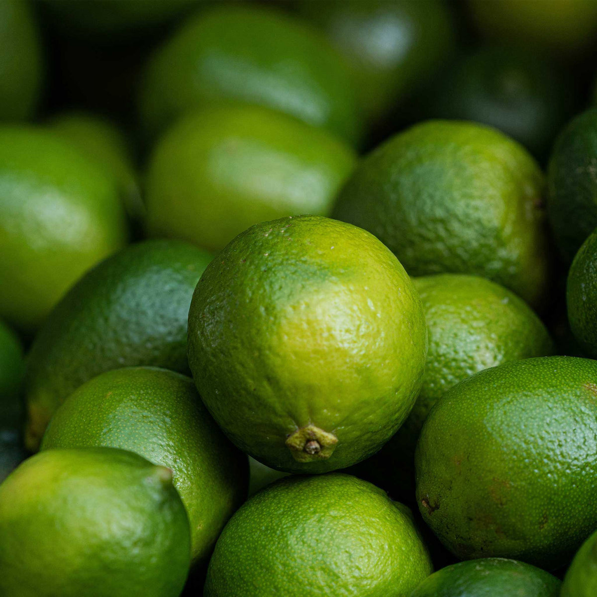 Close-up of a pile of green key limes