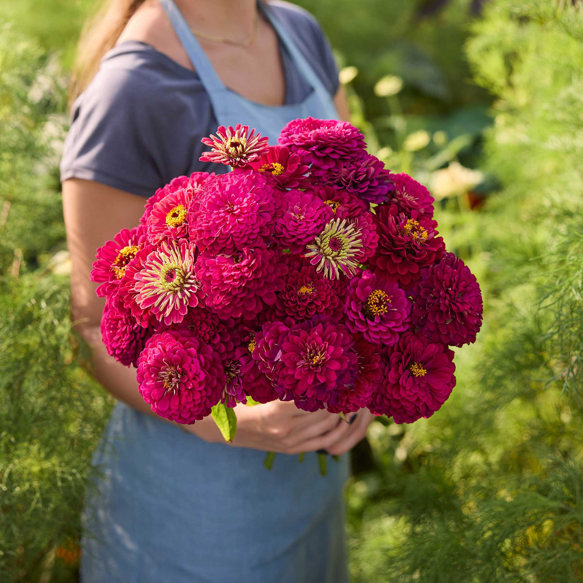 Person holding a bouquet of red flowers from the zinnia benary giant passion bundle in a garden setting