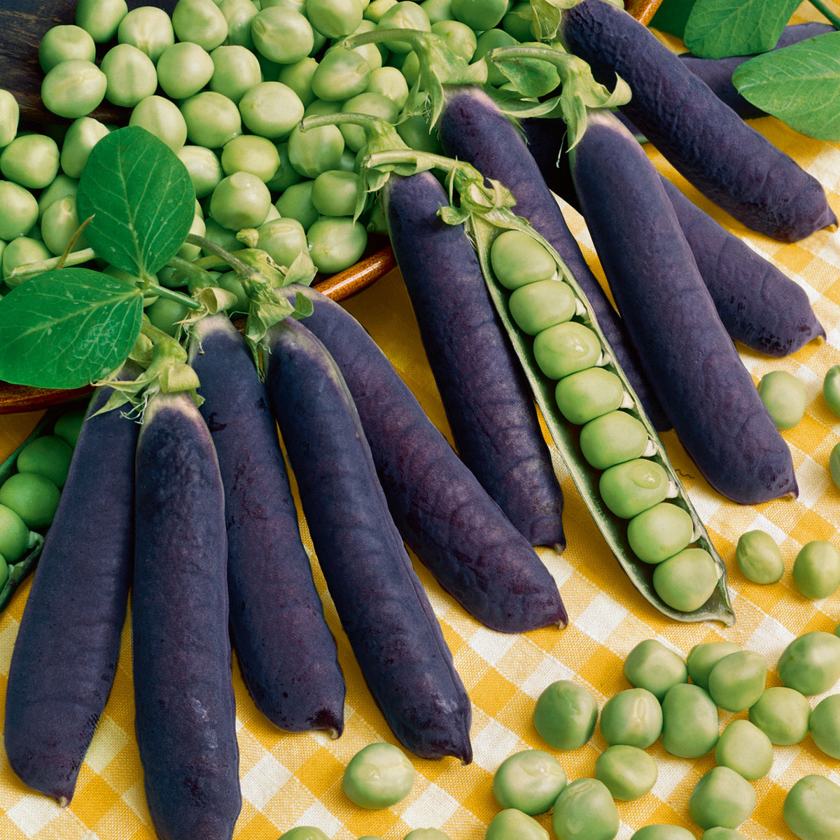 A close-up shot of several vibrant blue Blue Shelling pea pods on a light surface.