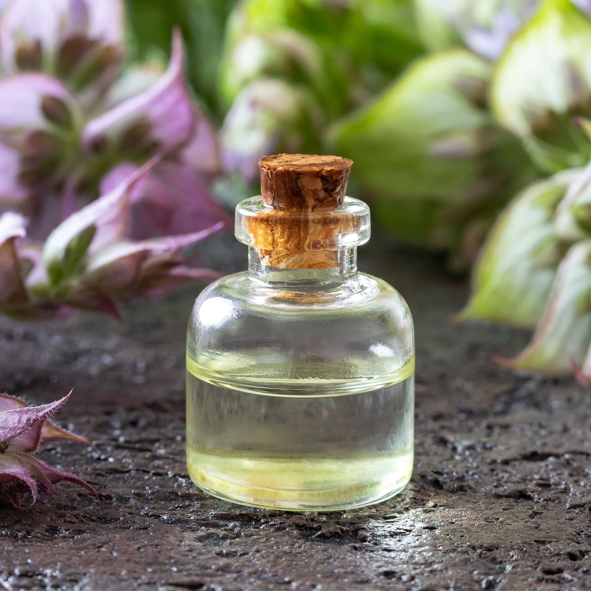 Clary Sage Bluish-White oil bottle against a blurred purple flower background