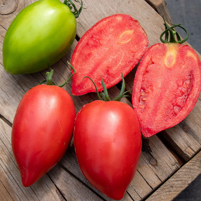 Rugby tomato with a green tomato in back and a few slices behind it.