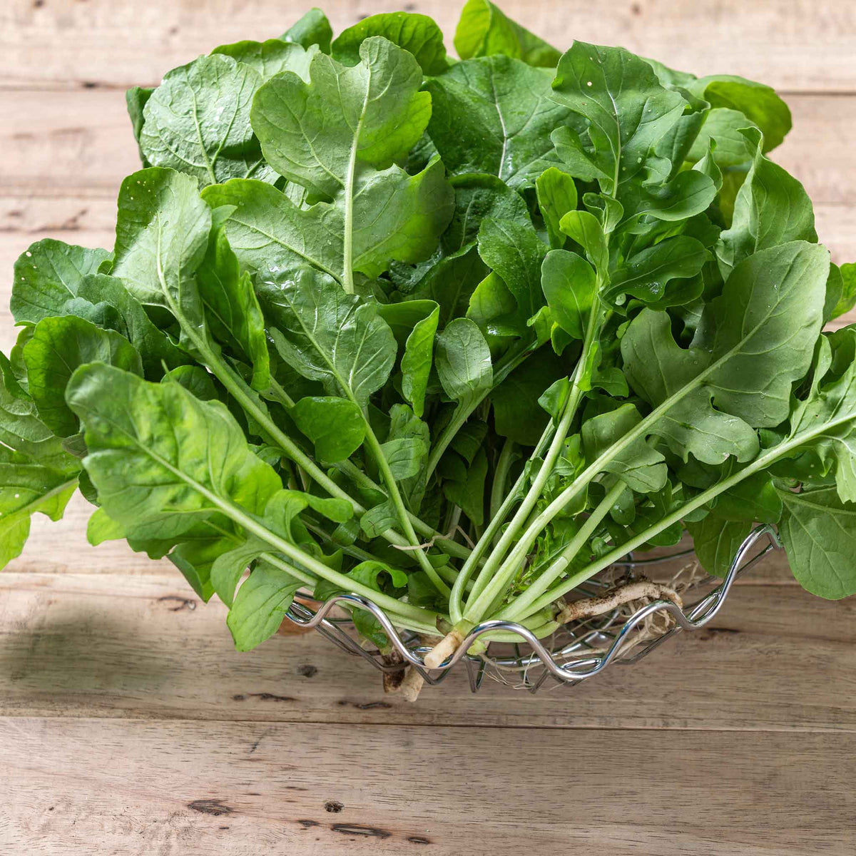 arugula