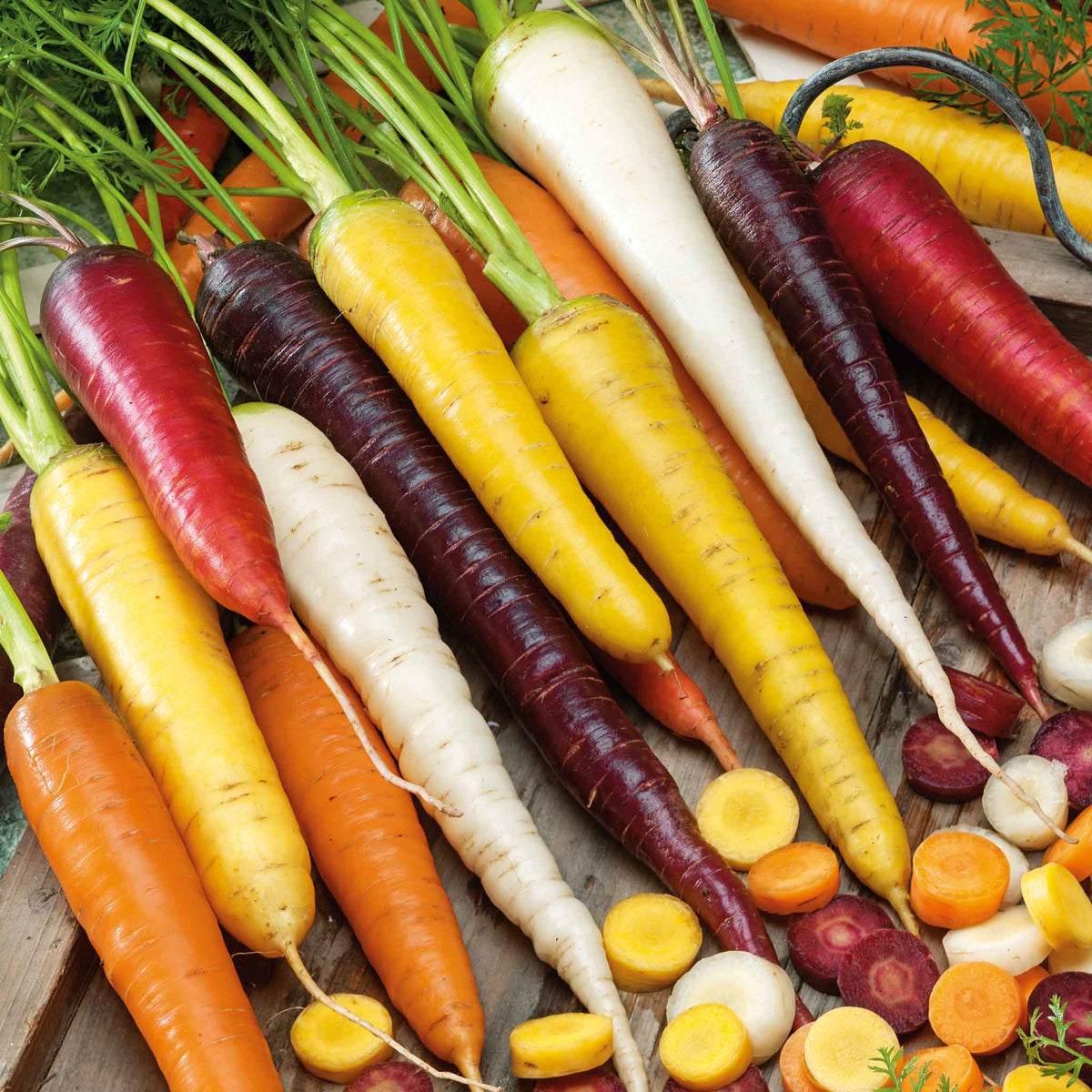 carrot seeds