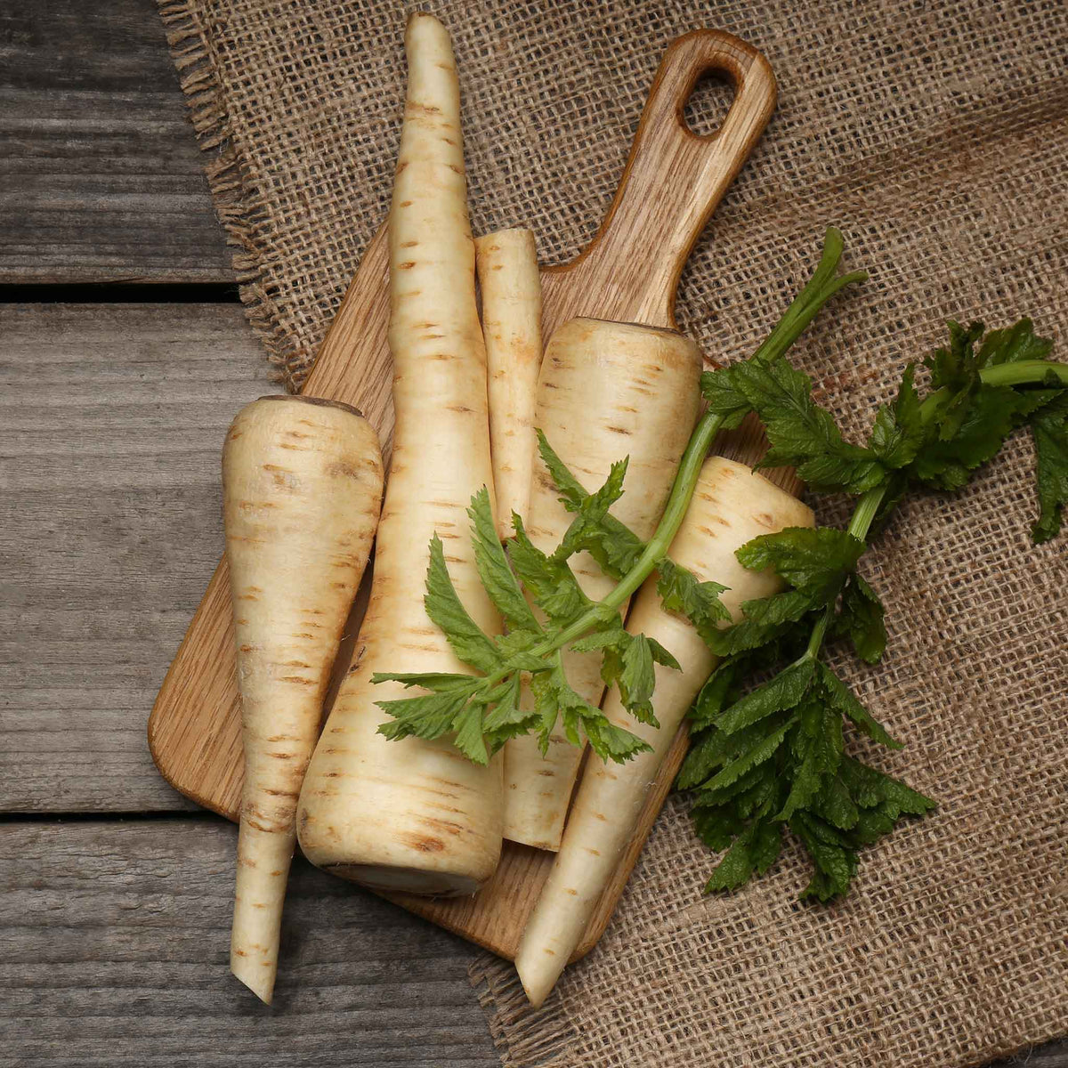 heirloom parsnip seeds