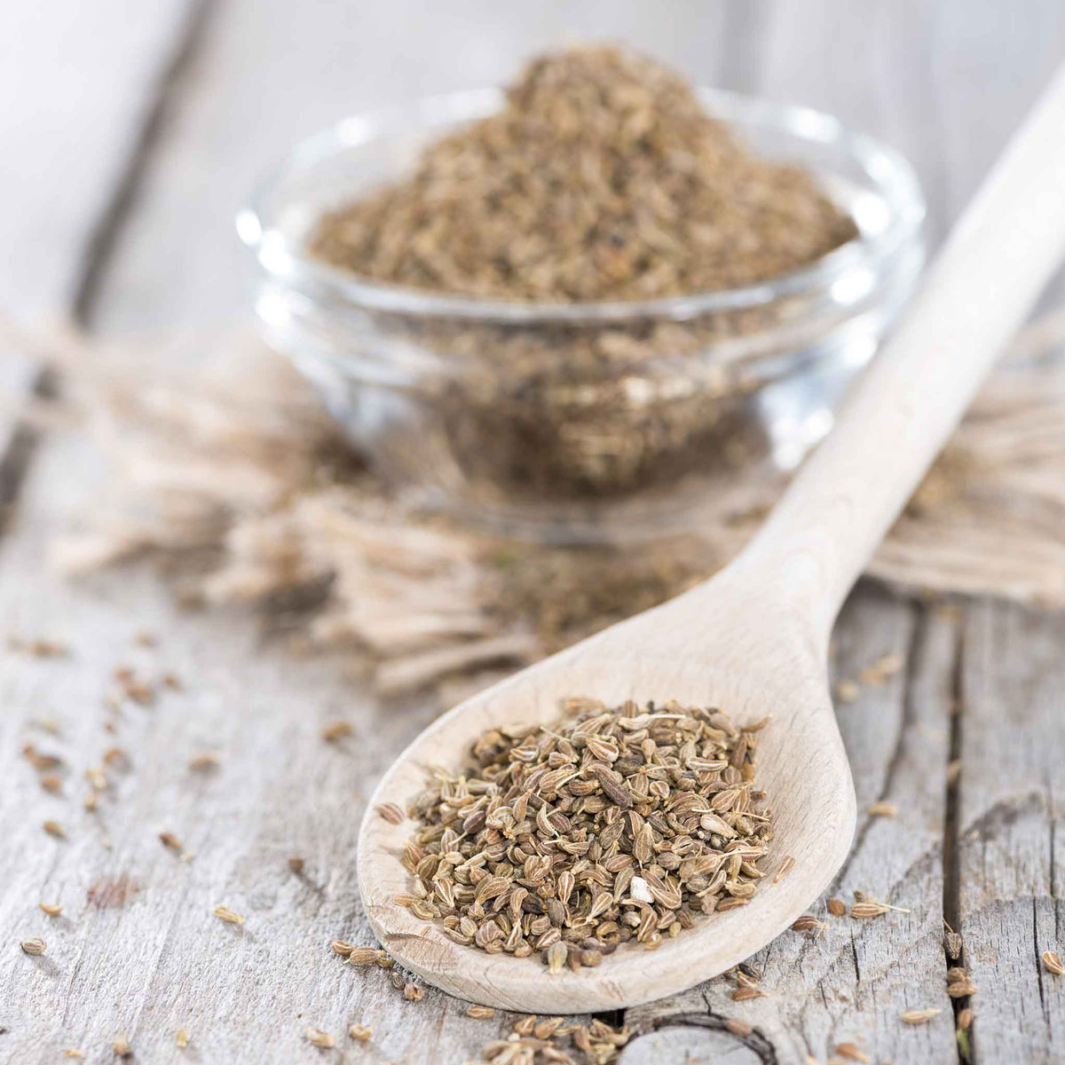 anise herb