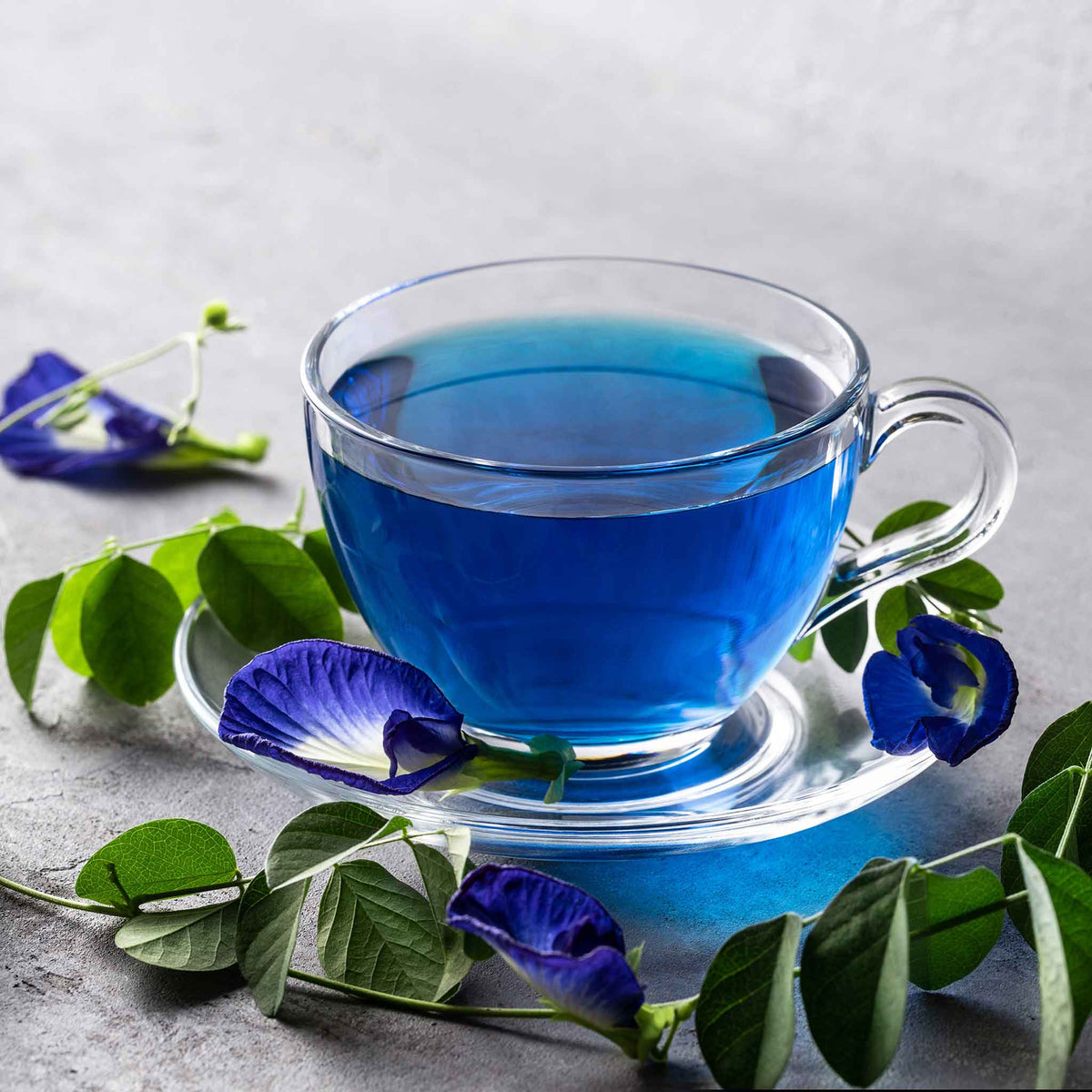 butterfly pea seeds