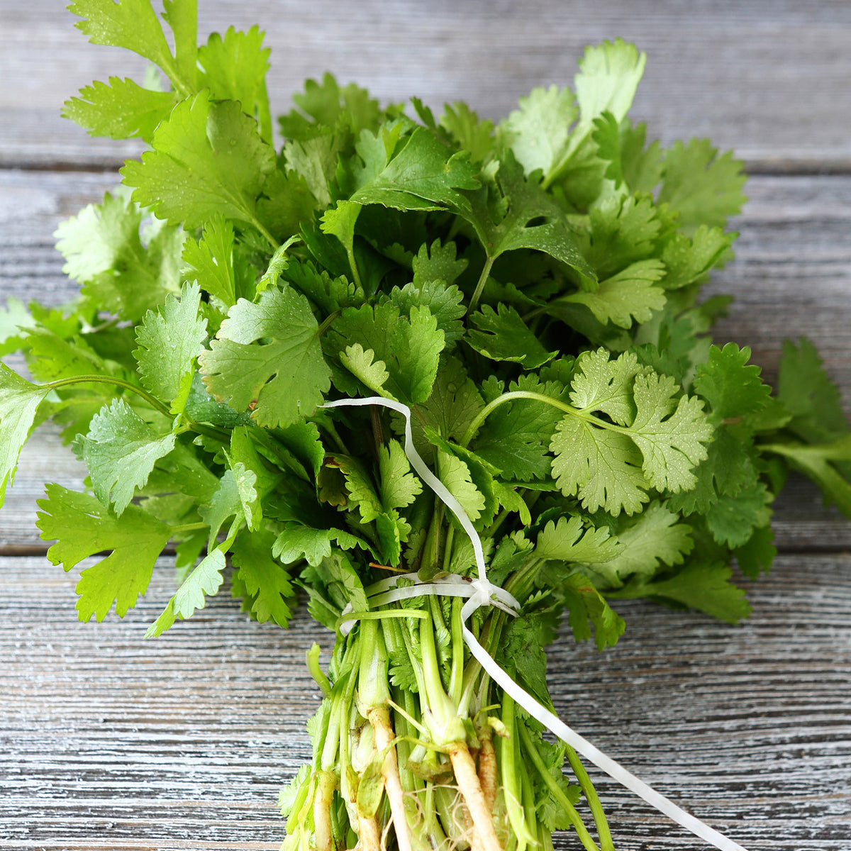 heirloom herb seeds