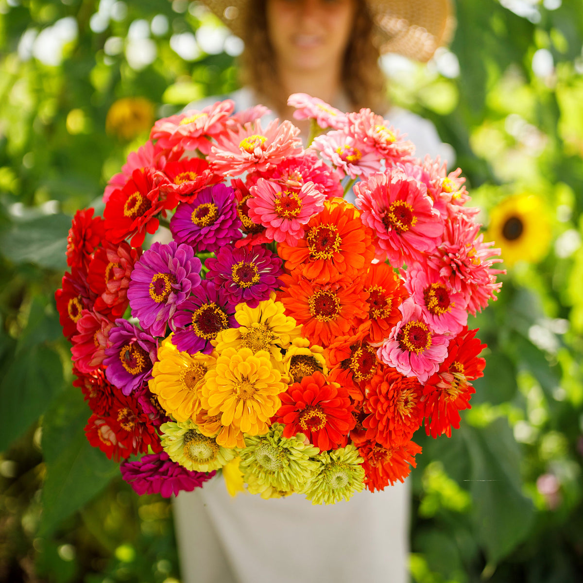 zinnia flower seed mixes
