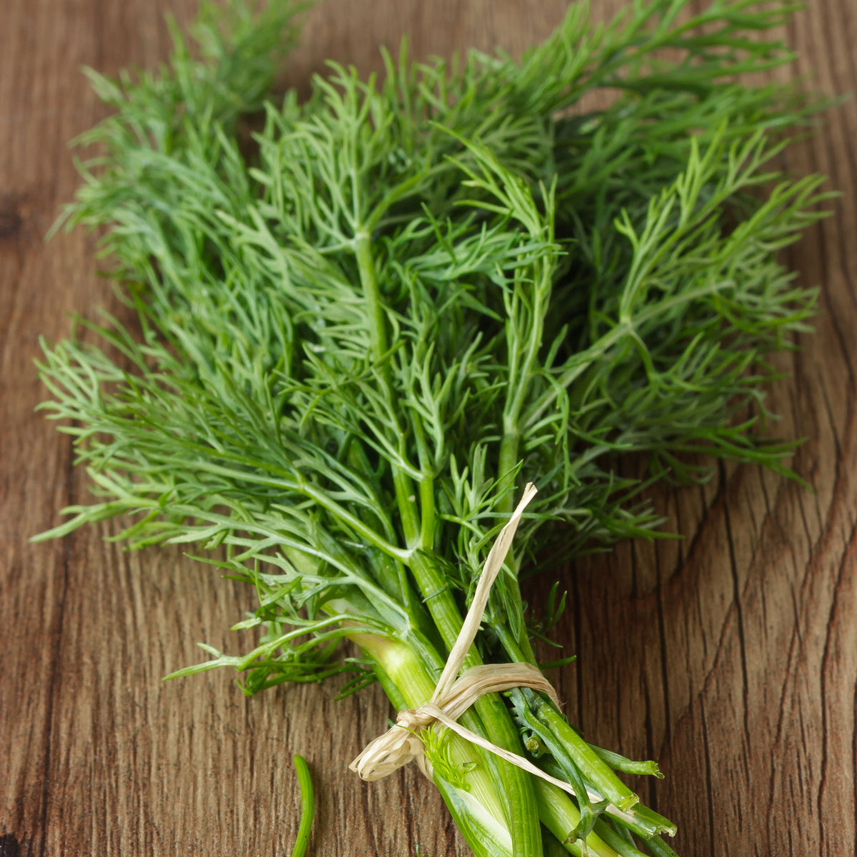 organic dill seeds