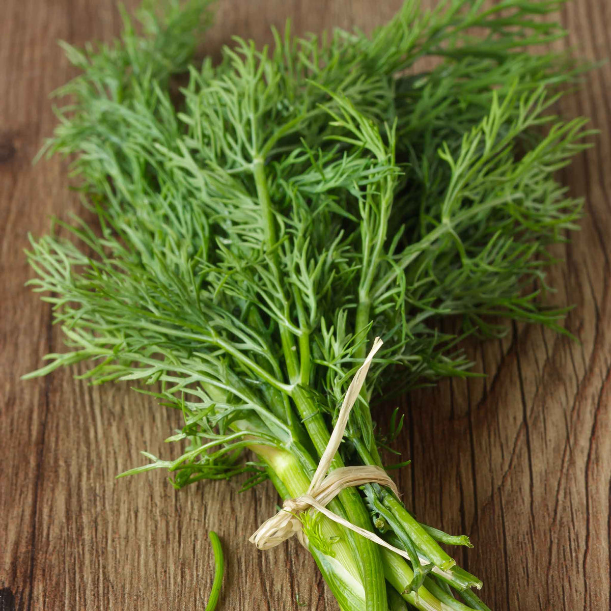 annual herbs