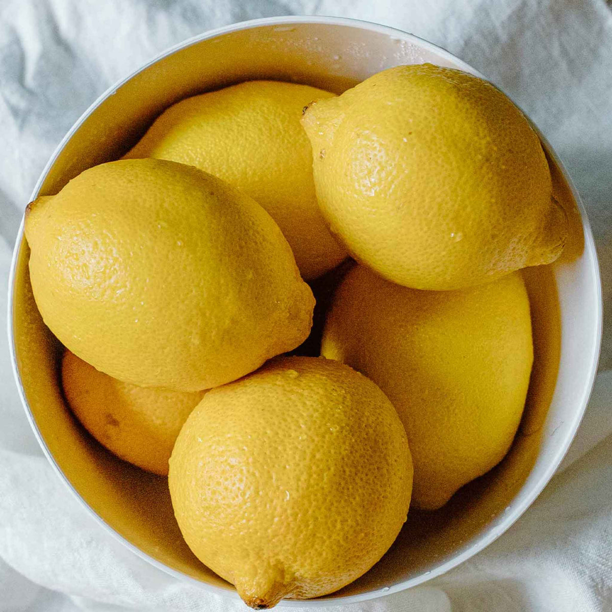 Lemon Plants