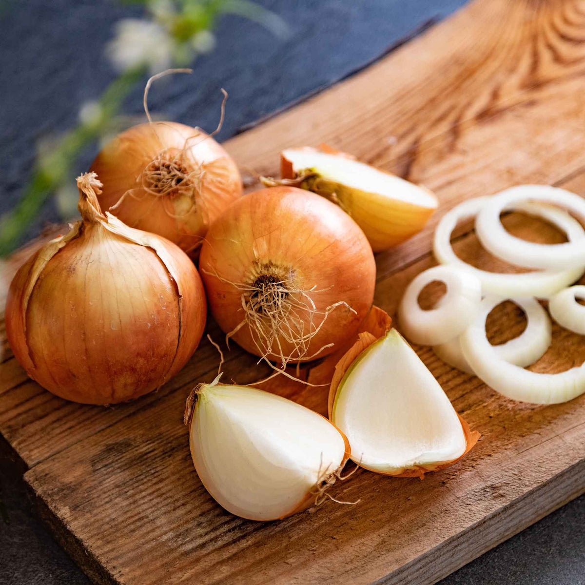 Onion Sets
