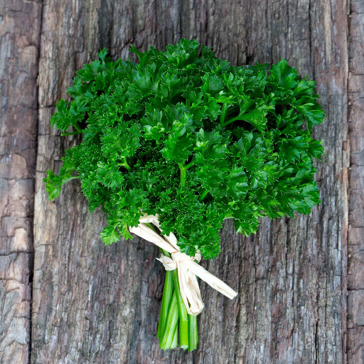 heirloom parsley seeds