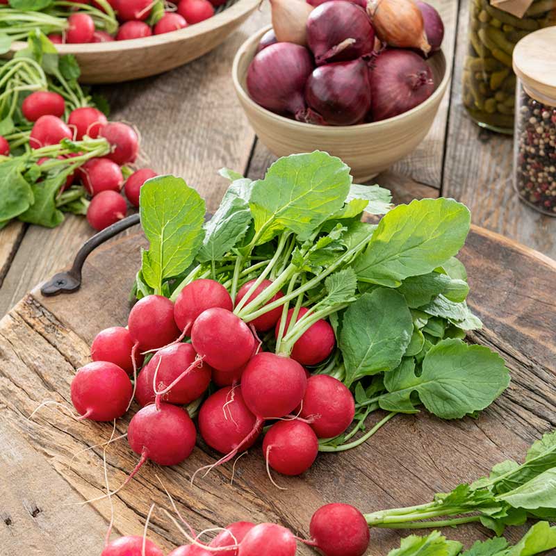 radish seeds