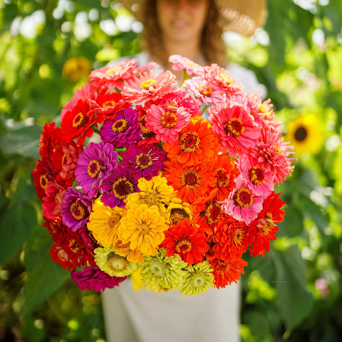 easy to grow & maintain seeds and flower bulbs