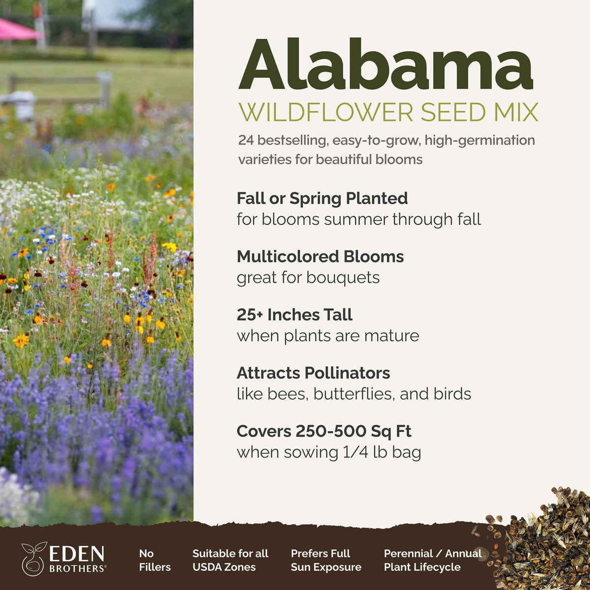 A visual overview of the wildflower seed mix, showcasing expected floral blooms.