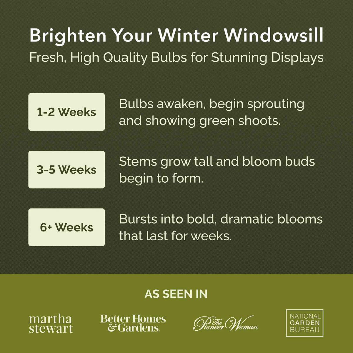 Promotional graphic for gardening bulbs with growth stages and brand endorsements.