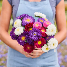 A person holding a bouquet of aster powderpuff mix  in a natural setting
