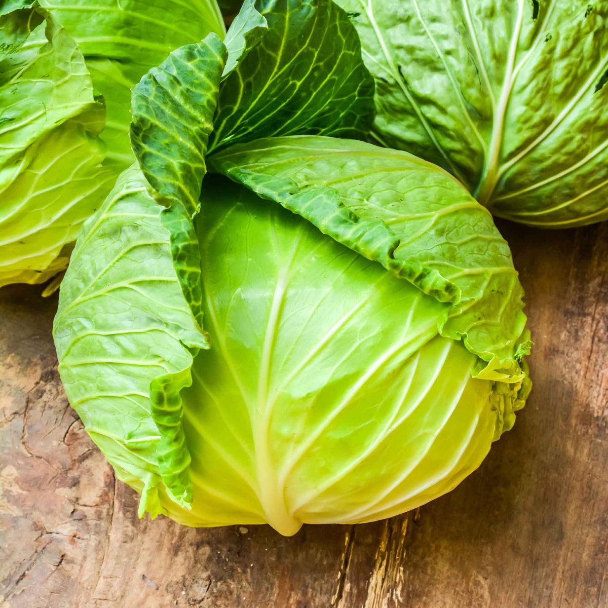 A single green copenhagen market cabbage head on a wooden table.