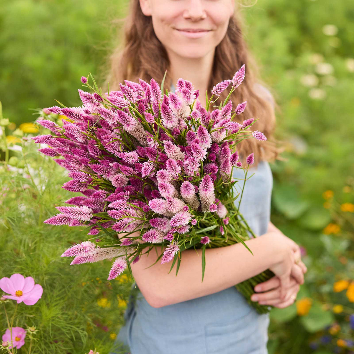 Person holding a bouquet of celosia flamingo feather flowers in a field