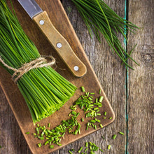 A close-up of a bunch of fresh green chives with slender, hollow leaves, ready for culinary use.