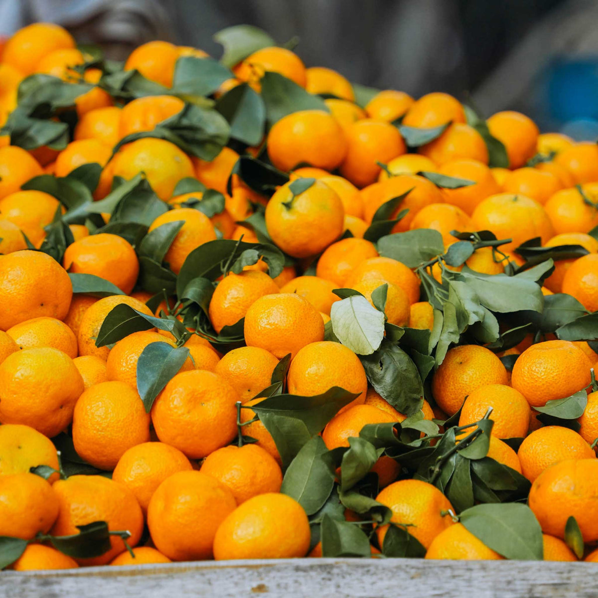 A close-up pile of bright orange clementine mandarins or tangerines with green leaves, filling a wooden container.