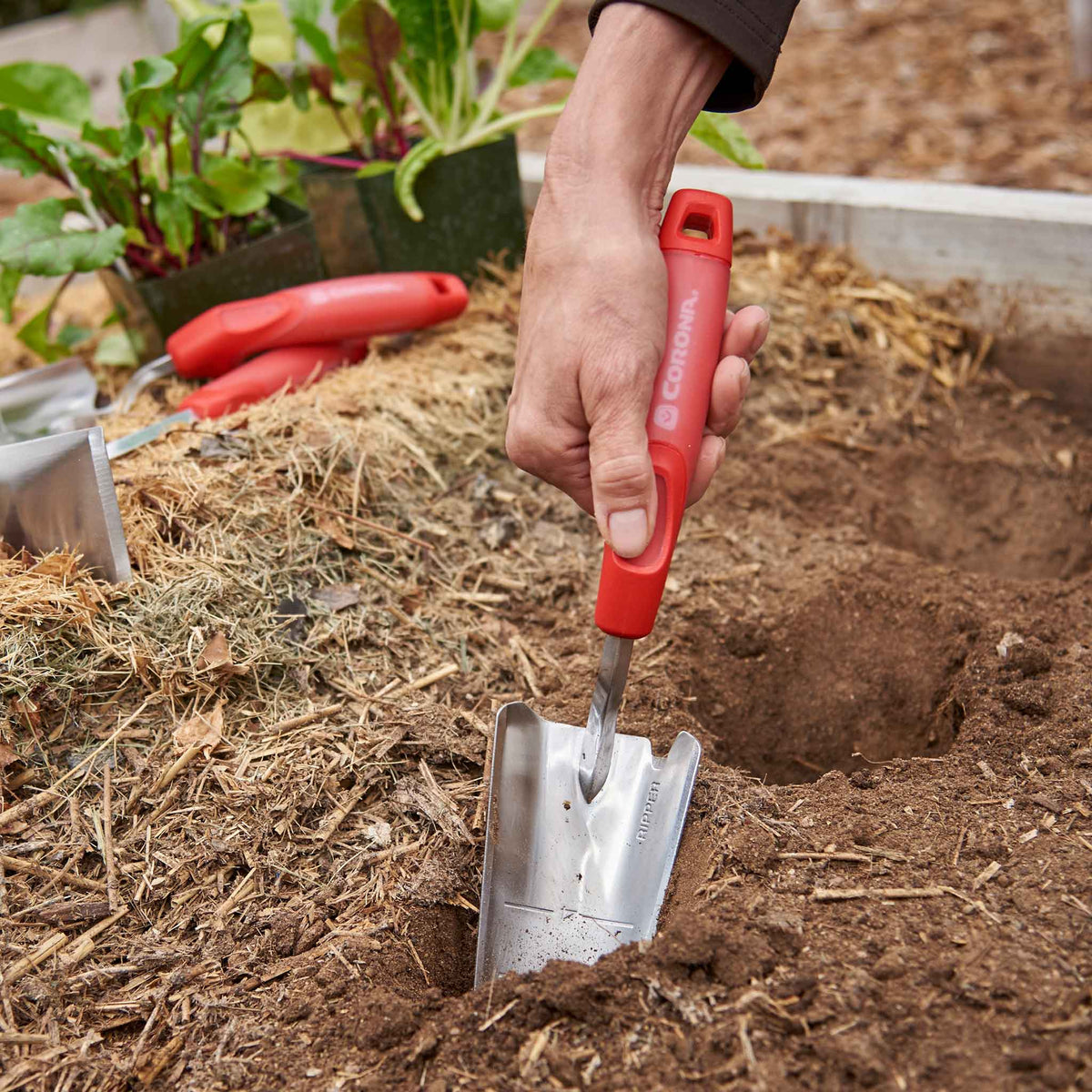 Hand using a red-handled corona comfortgel trow to dig into soil in a raised bed.