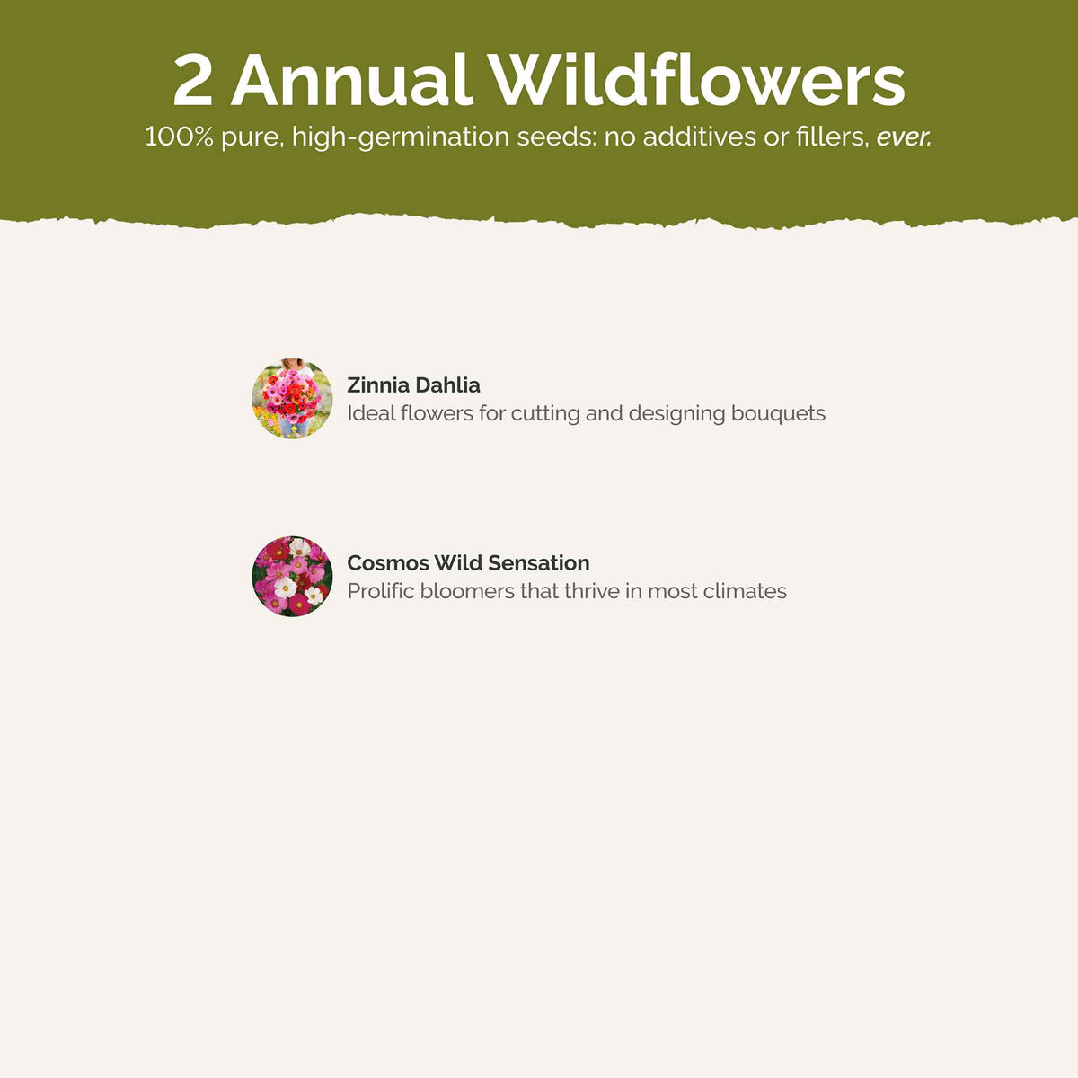 List of flower species and seeds included in the Wildflower Seed Mix.