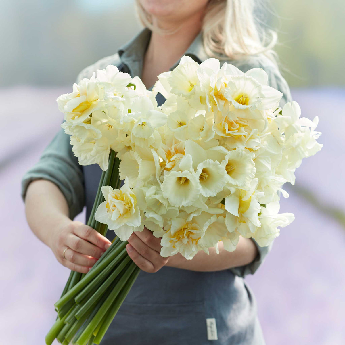 A person holding a bouquet of Lemondrop Mix daffodil flowers in a garden setting.