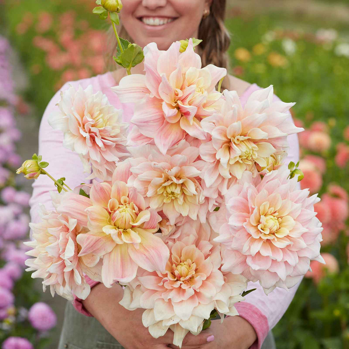 A person holding a bouquet of Break Out dahlia flowers in a garden setting.