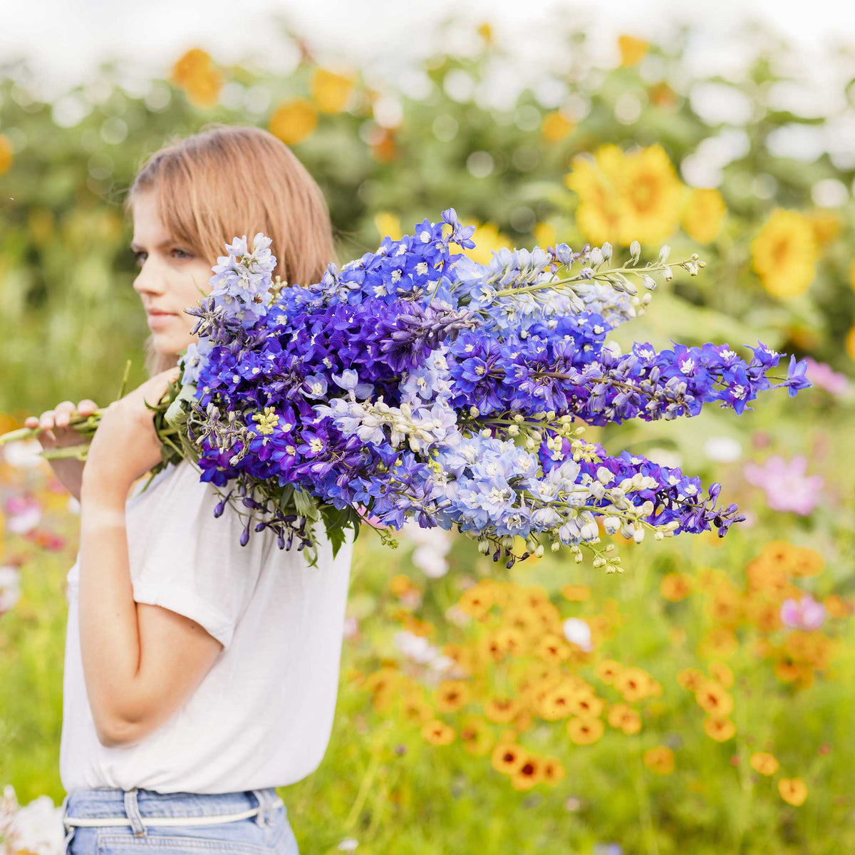 Person holding a bouquet of delphinium pacific mix flowers in a garden setting