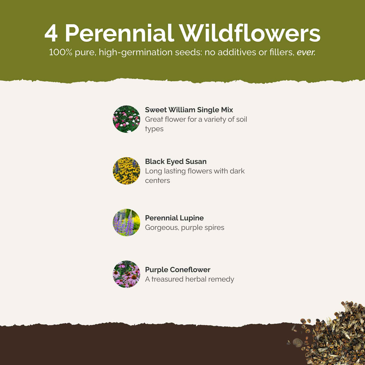 List of flower species and seeds included in the Wildflower Seed Mix.