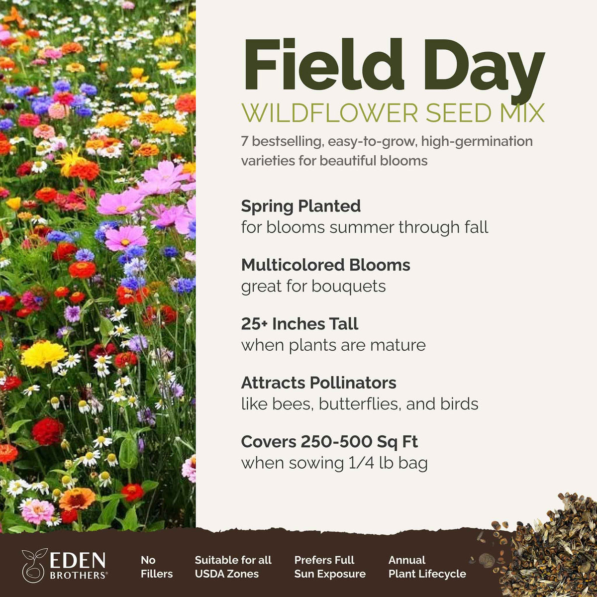 A visual overview of the wildflower seed mix, showcasing expected floral blooms.