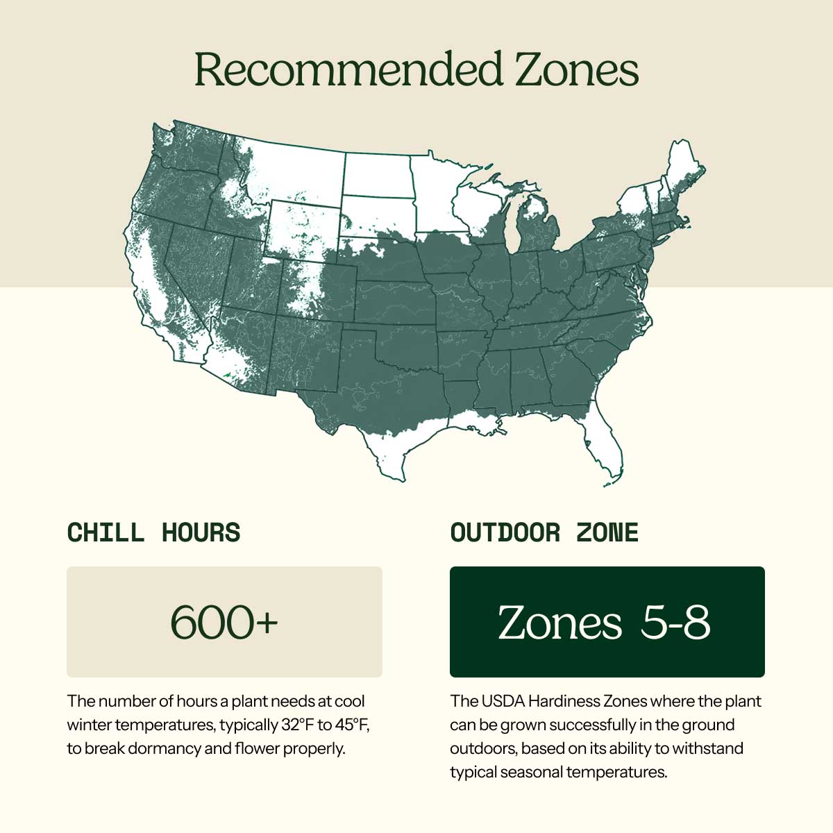 A USDA hardiness zone map of the United States with labeled patio and outdoor zones, showing a light teal map on a beige background with explanatory text blocks below.