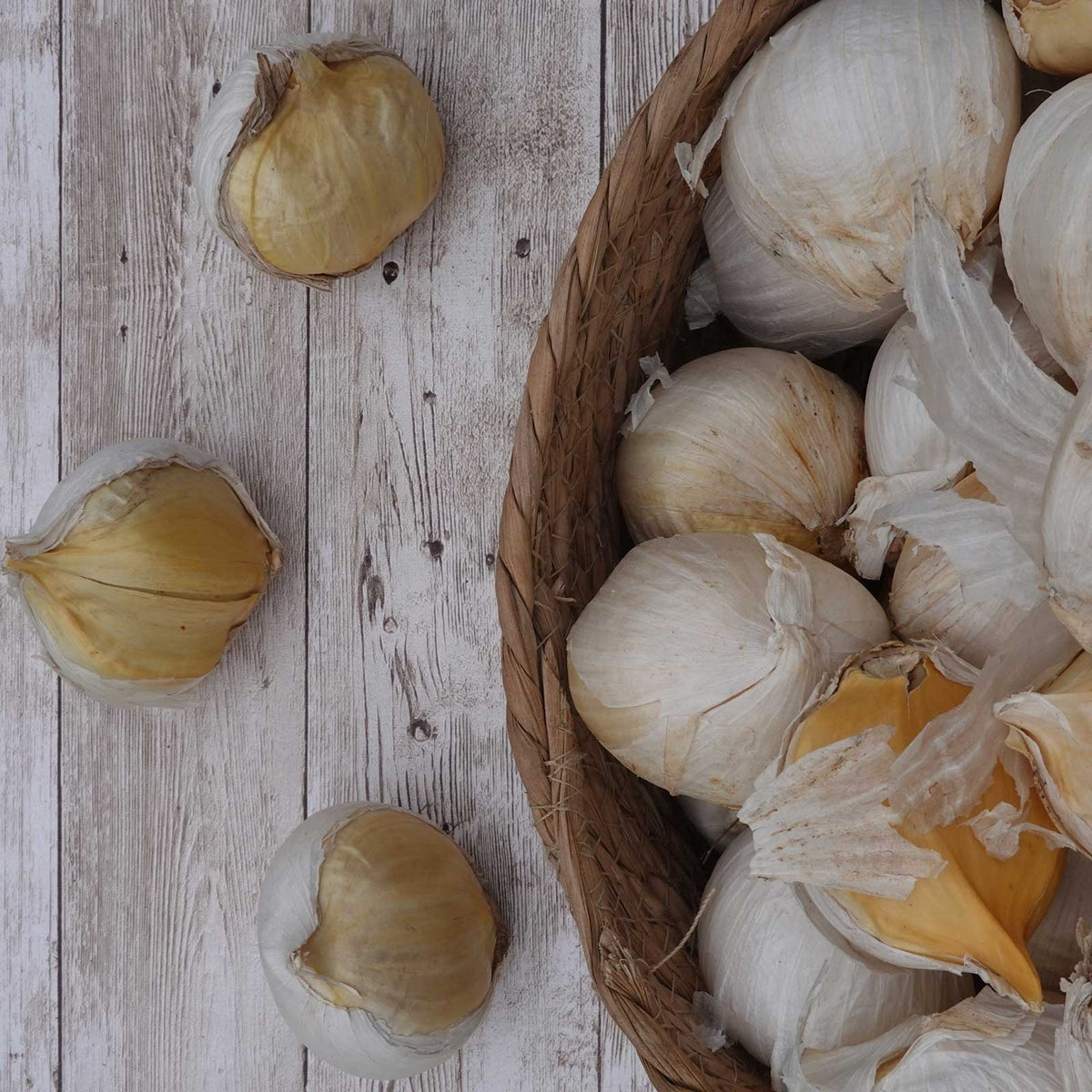 Garlic elephant bulbs in a basket on a wooden table.