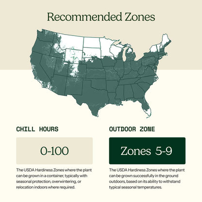 A USDA hardiness zone map of the United States with labeled patio and outdoor zones, showing a light teal map on a beige background with explanatory text blocks below.
