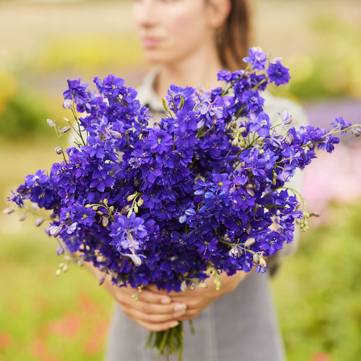 A person holding a bouquet of larkspur hyacinth flower tall mix flowers in a garden setting.