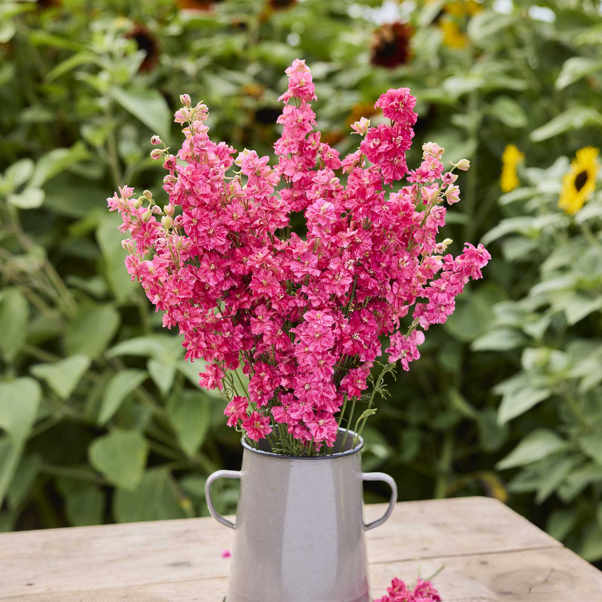 A bouquet of larkspur king size scarlet flowers in a grey vase in a garden setting.