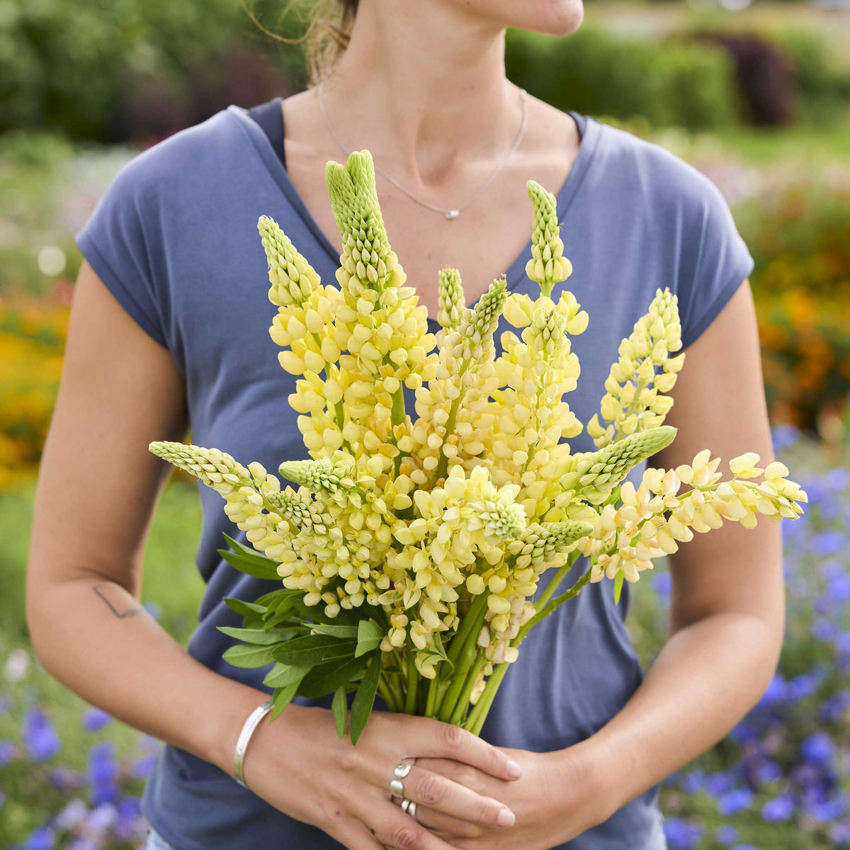 A person holding a bouquet of russell lupine chandelier flowers in a garden setting.