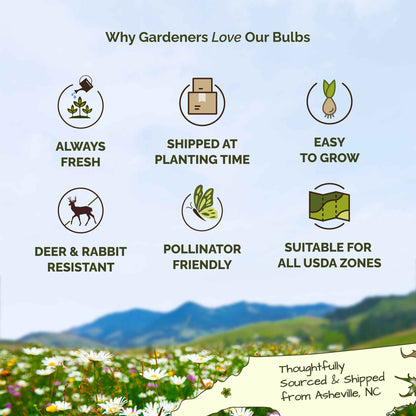 List of reasons why gardeners love flower bulbs with icons and text on a scenic background.