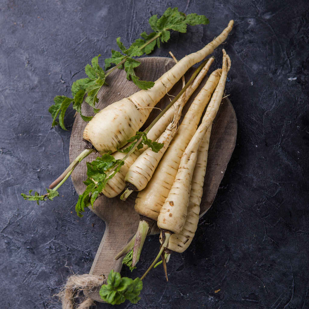 A close-up of All American parsnip roots with white skin, showing its conical shape and texture.
