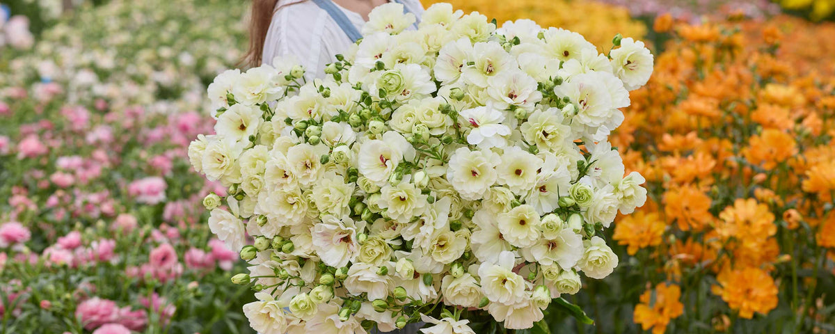 A large bouquet of white and cream lisianthus flowers held in front of a blurred garden background with pink, green, and orange flowers.