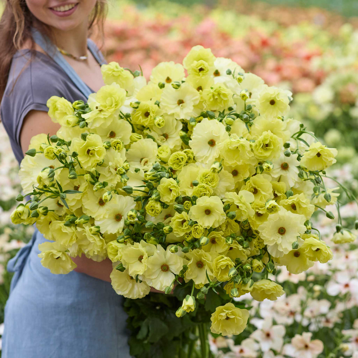 Person holding a bouquet of yellow butterfly helios ranunculus in a blurred garden setting
