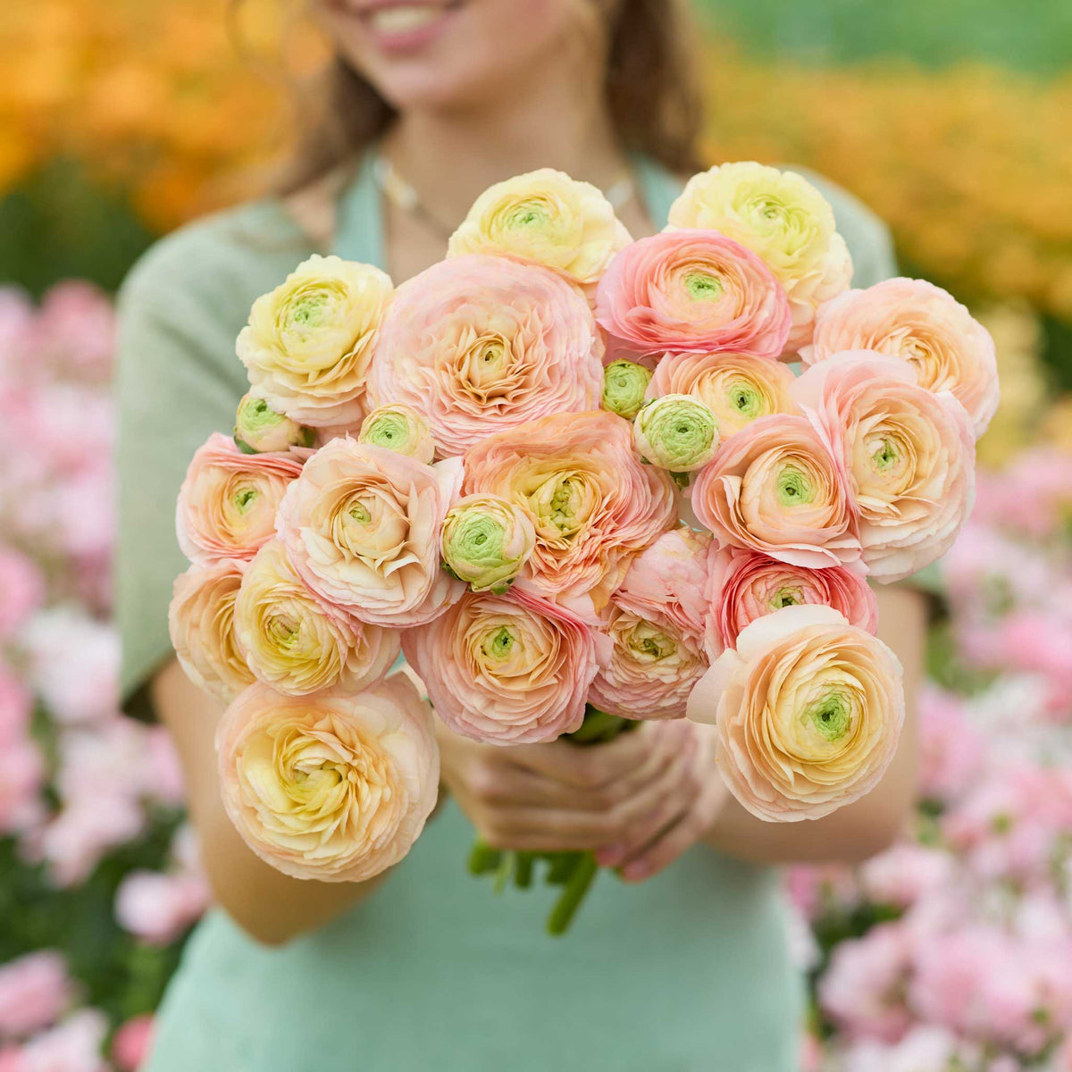 Person holding a bouquet of yellowish pink romance salerno ranunculus flowers with a garden background