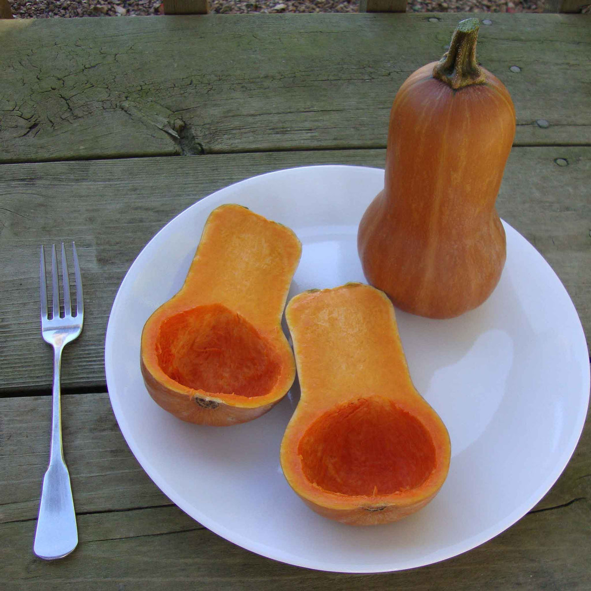 A whole Butterbaby squashed on a plate next to sliced squash.
