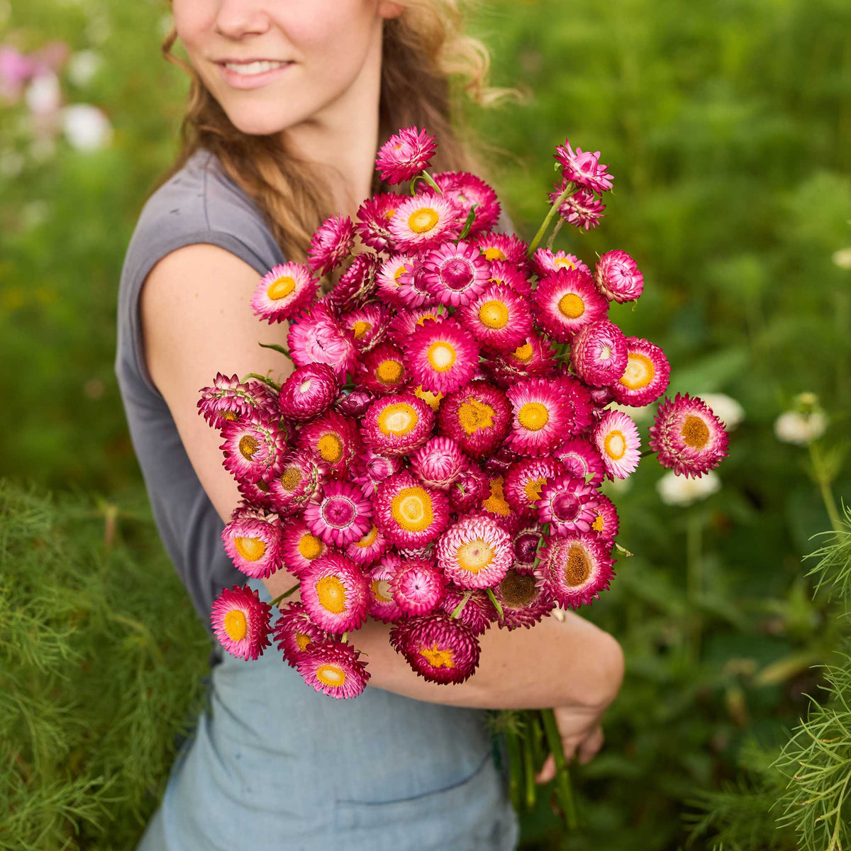 Person holding a bouquet of colorful flowers from the strawflower passion shades bundle in a natural setting