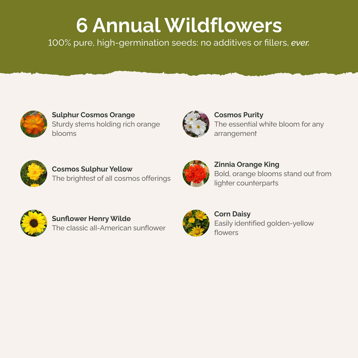 List of flower species and seeds included in the Wildflower Seed Mix.