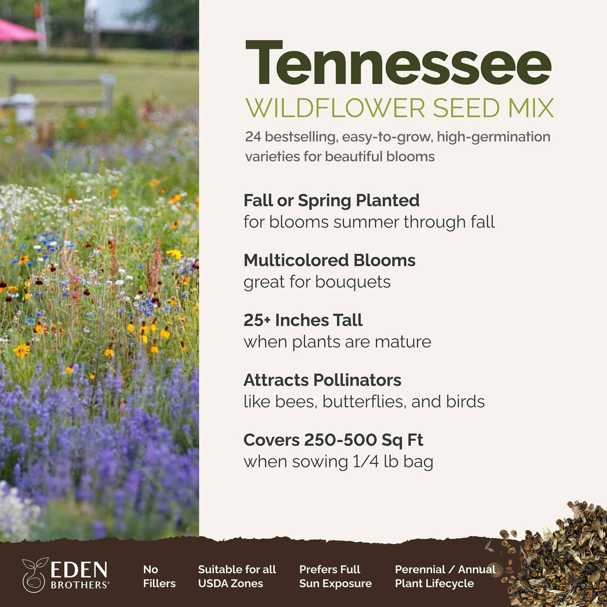A visual overview of the wildflower seed mix, showcasing expected floral blooms.