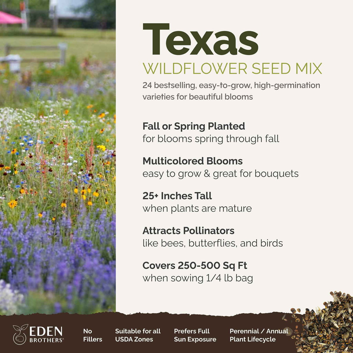 A visual overview of the wildflower seed mix, showcasing expected floral blooms.