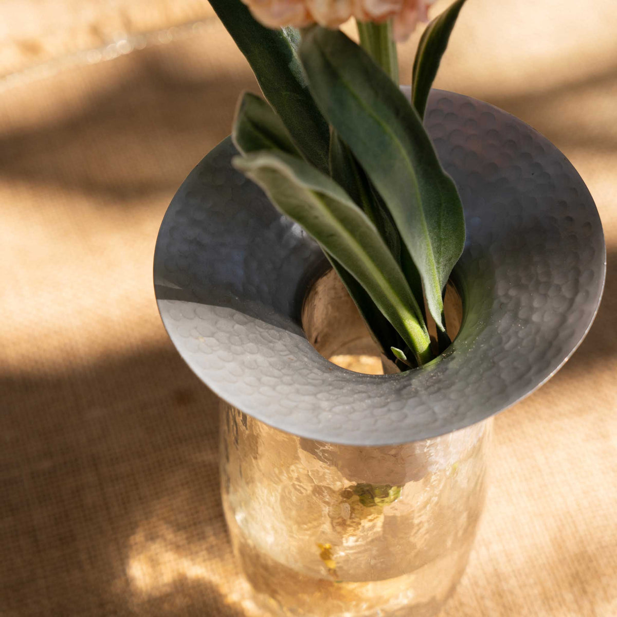 Top view of The collective floral propagation vases showing stem holder and vase with cuttings inside